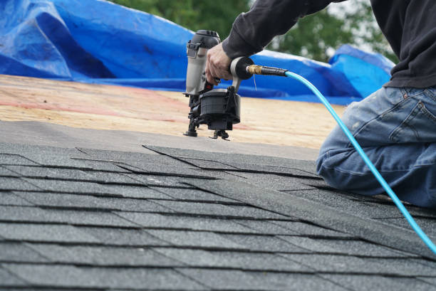 Best Storm Damage Roof Repair  in Nisswa, MN